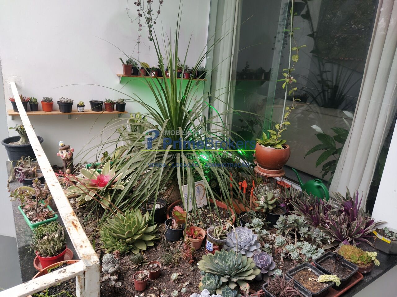 Foto 3