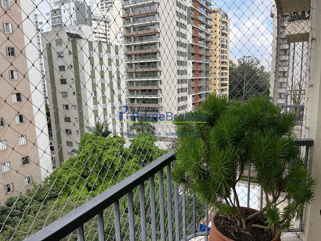 Foto 8
