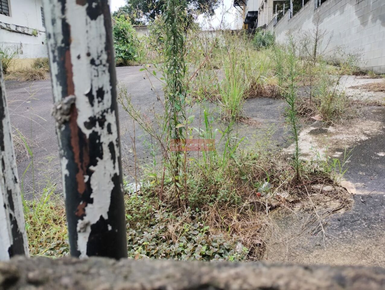 Terreno para Venda - SANTO AMARO