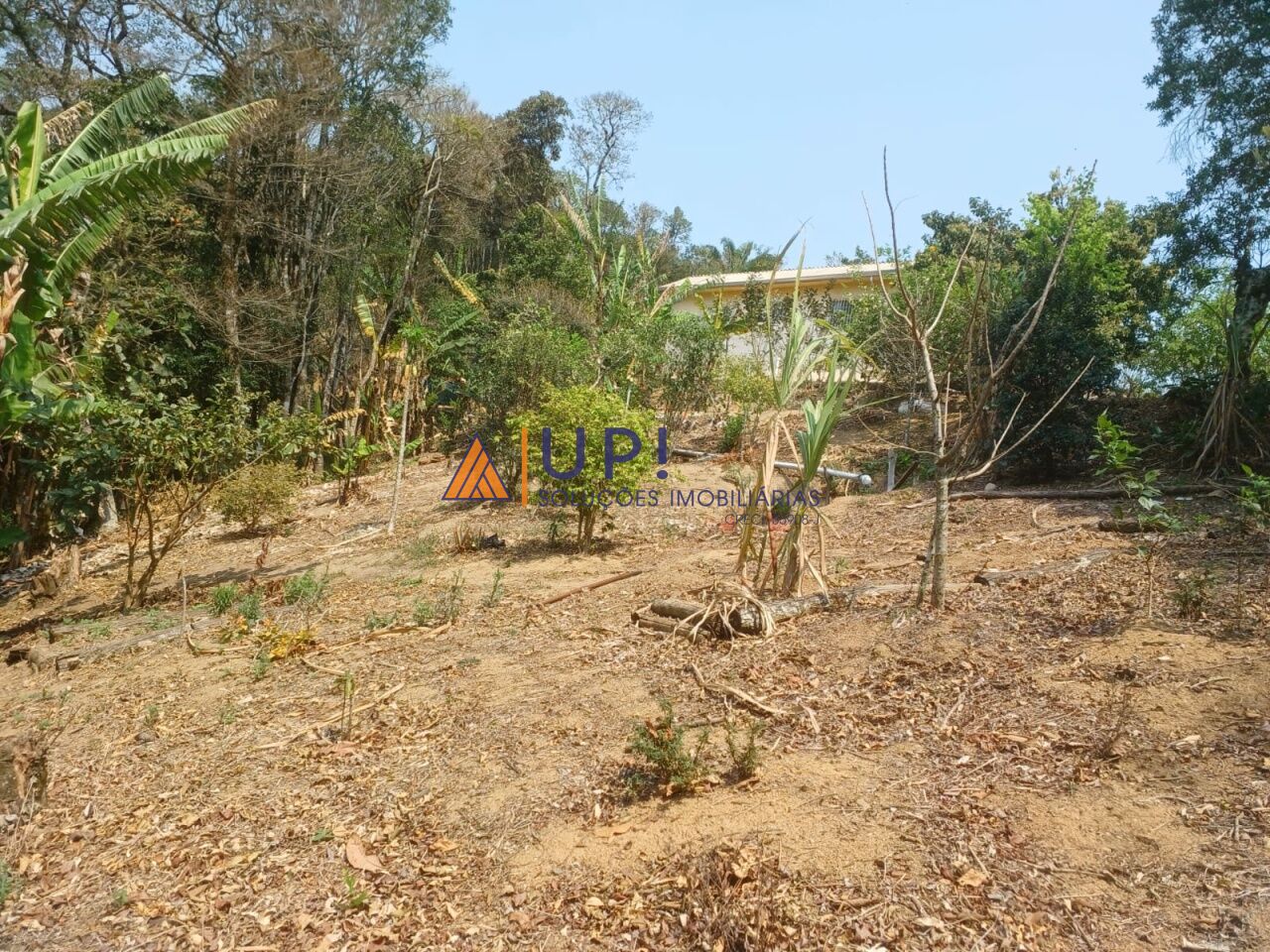 Sítio para Venda - Centro