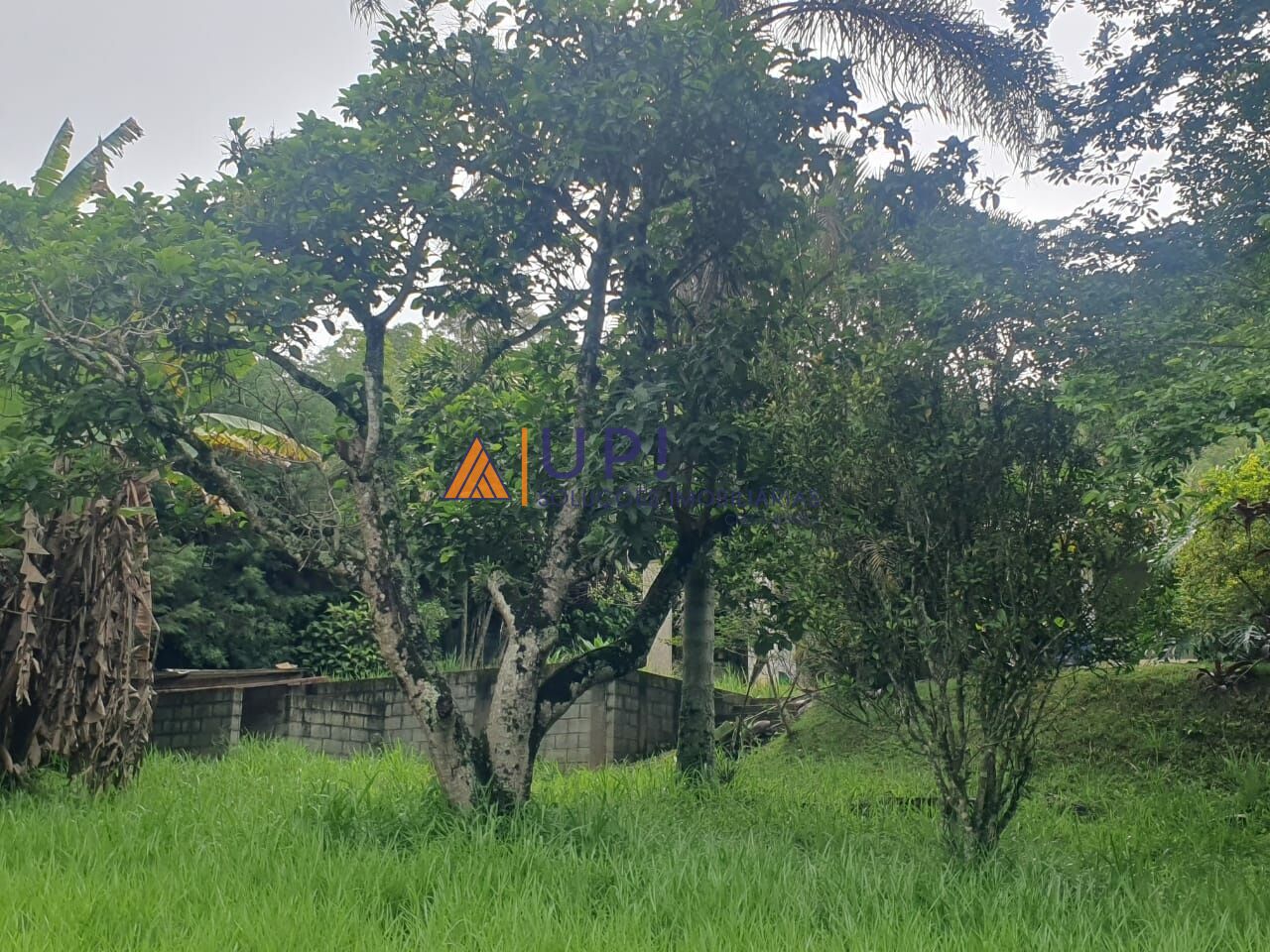 Chacara para Venda - Marmelo