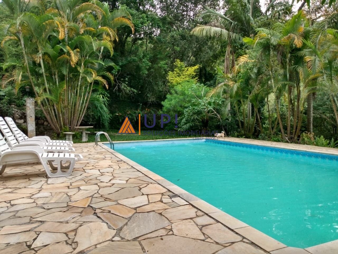Casa em Condomínio para Venda - Caraguatá