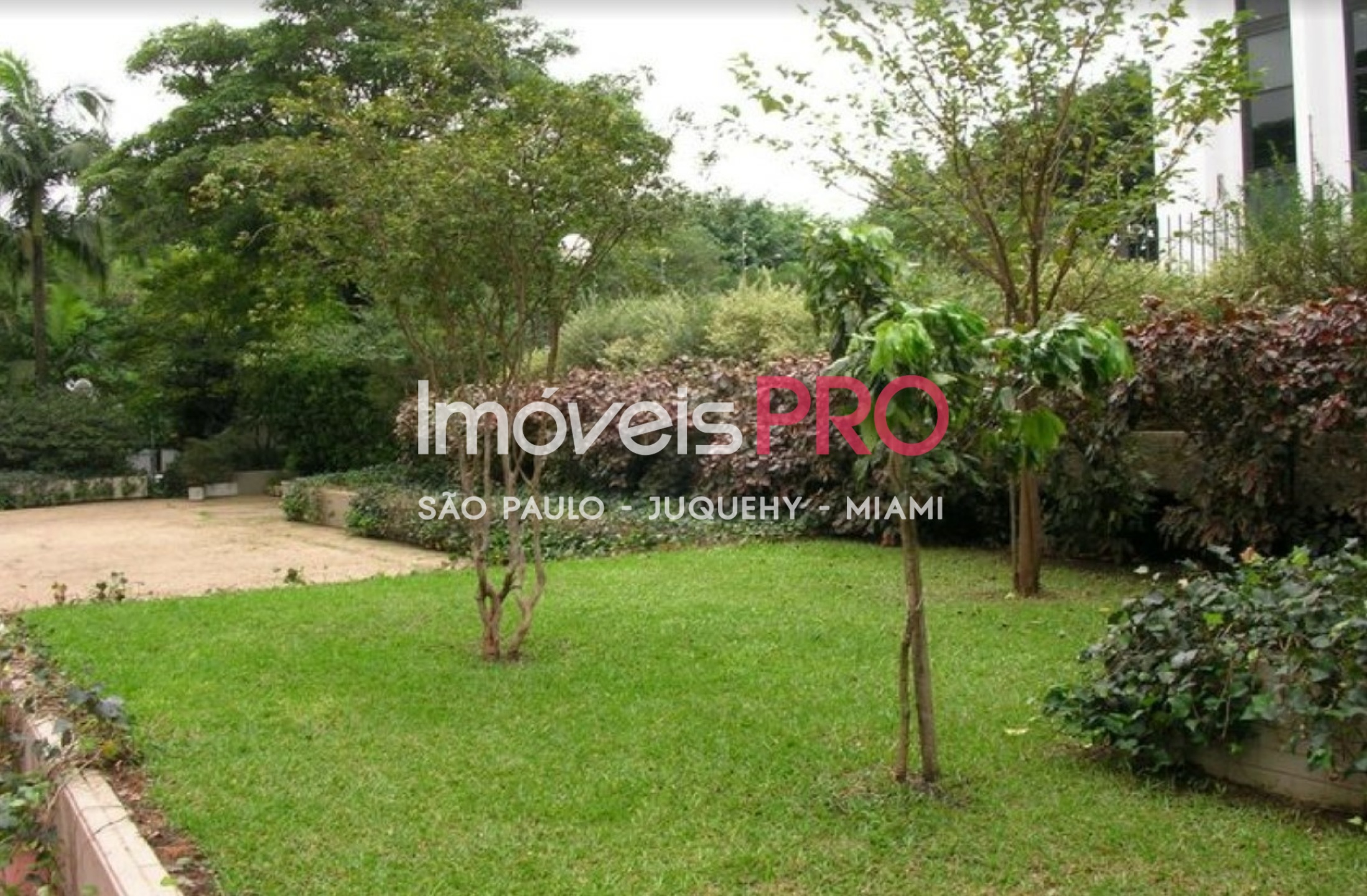 Foto 3 :: IP31691