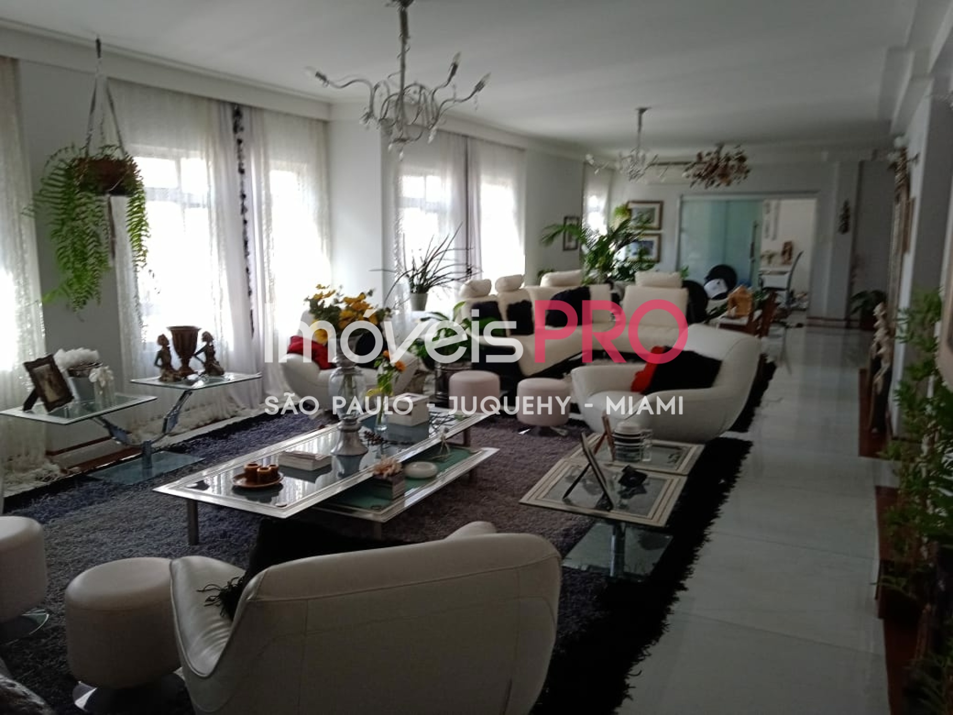 Foto 1 :: IP14821