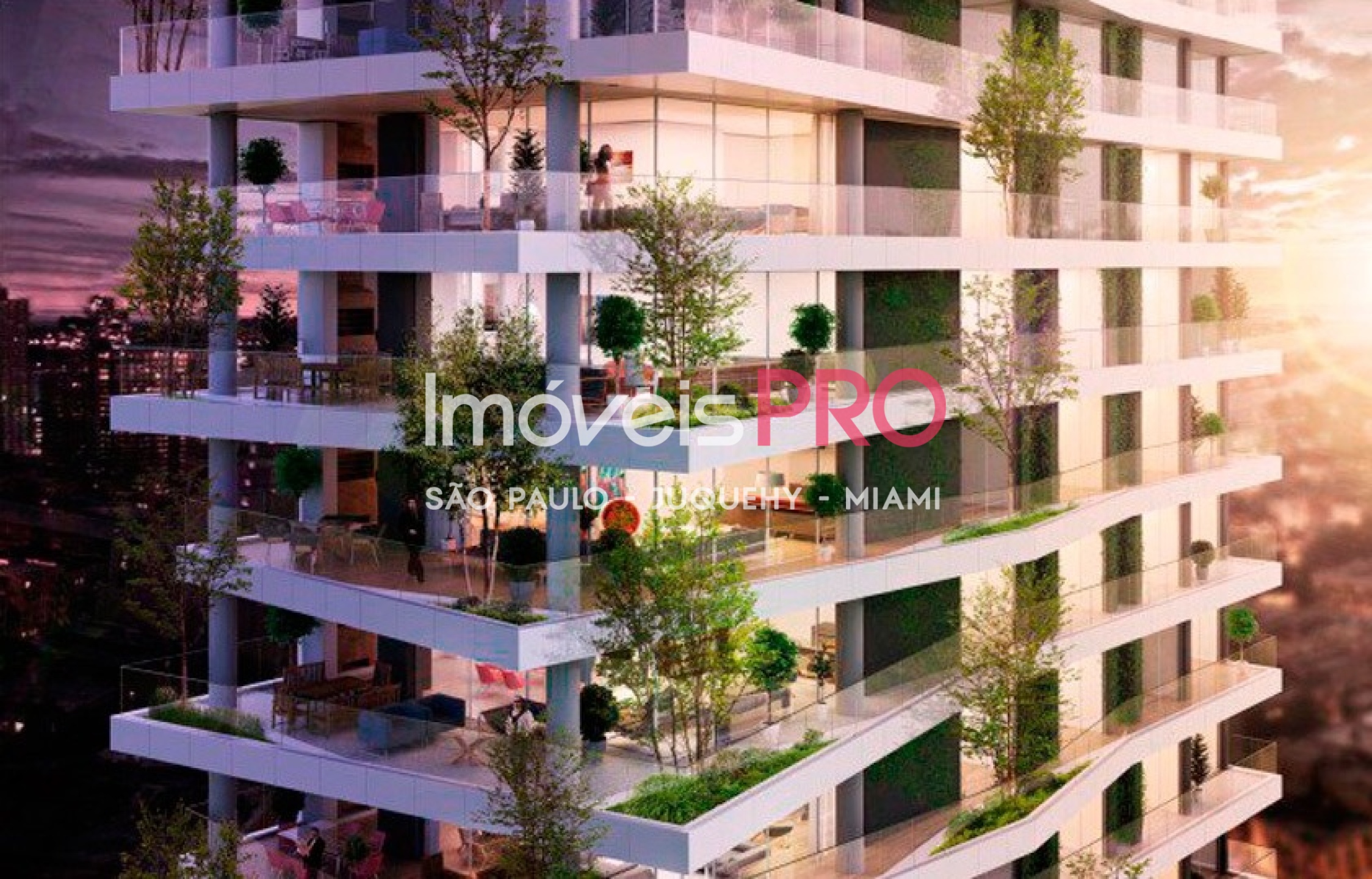 Foto 1 :: IP14895
