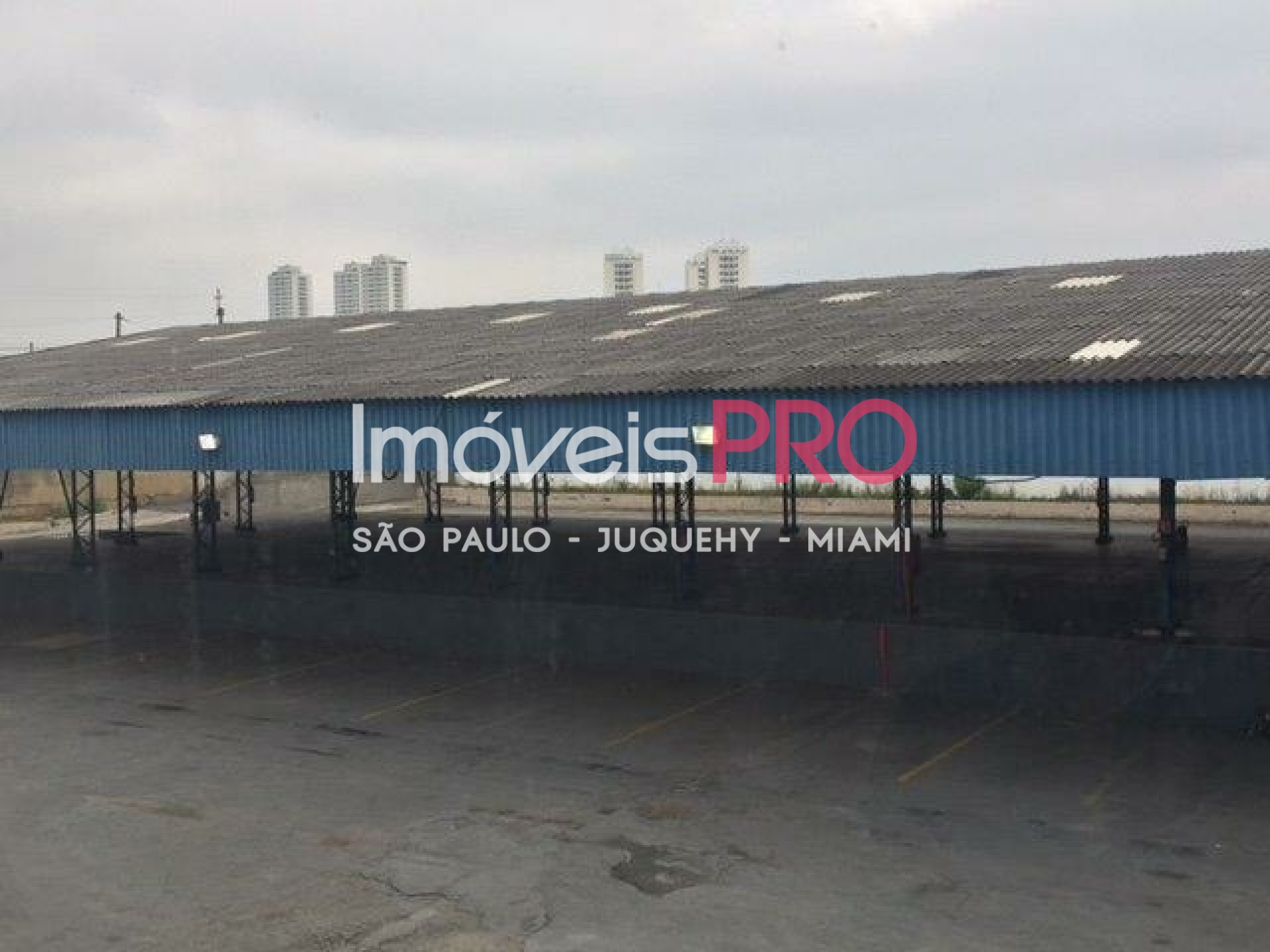 Foto 1 :: IP15900