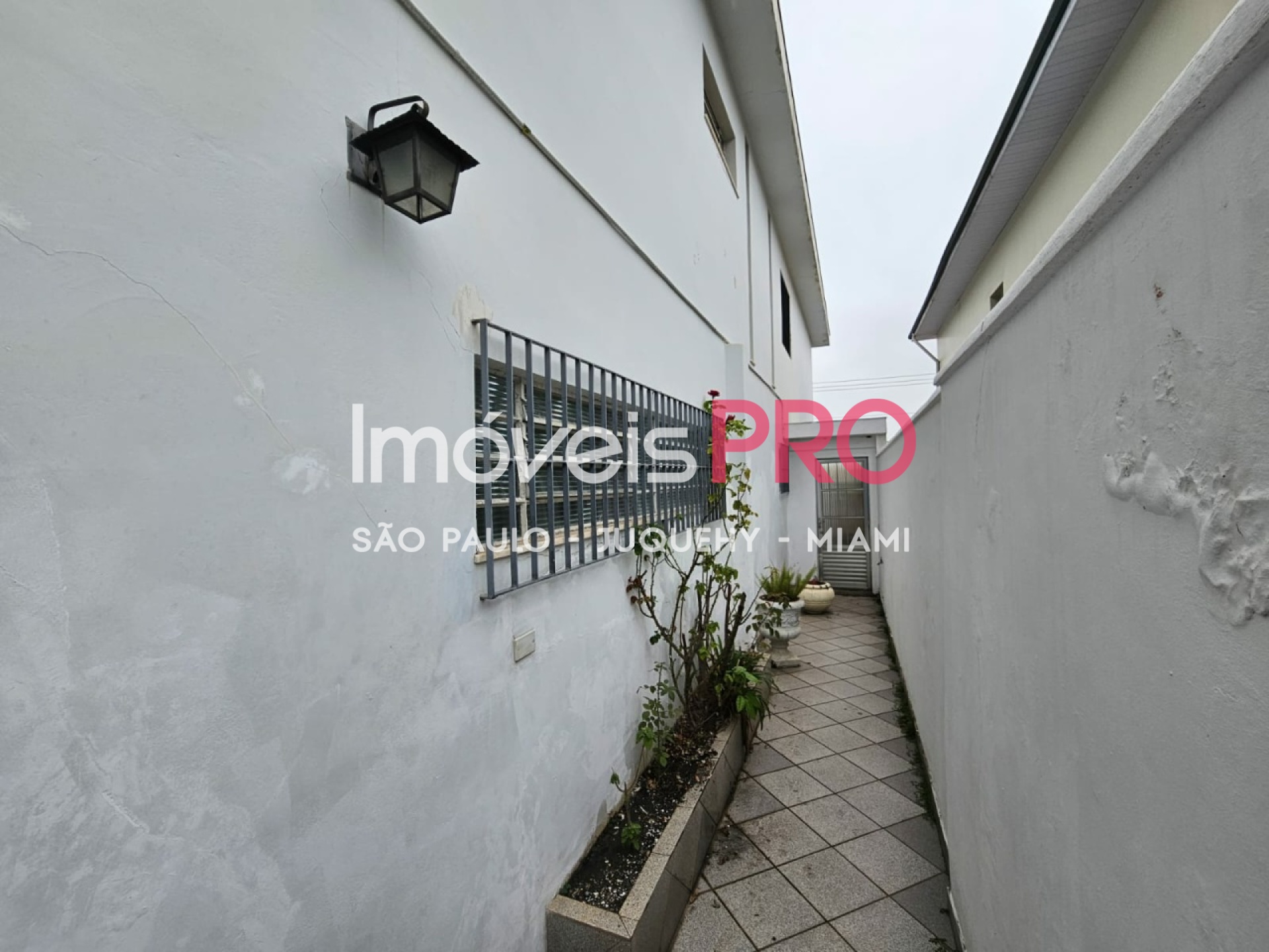 Foto 3 :: IP22915