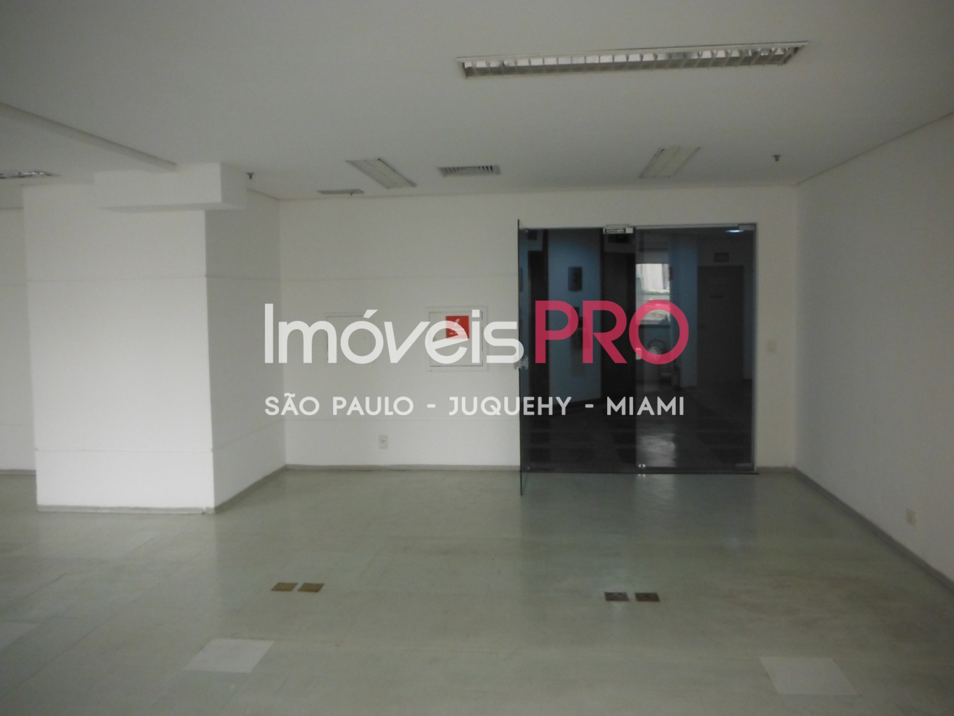 Foto 3 :: IP28629
