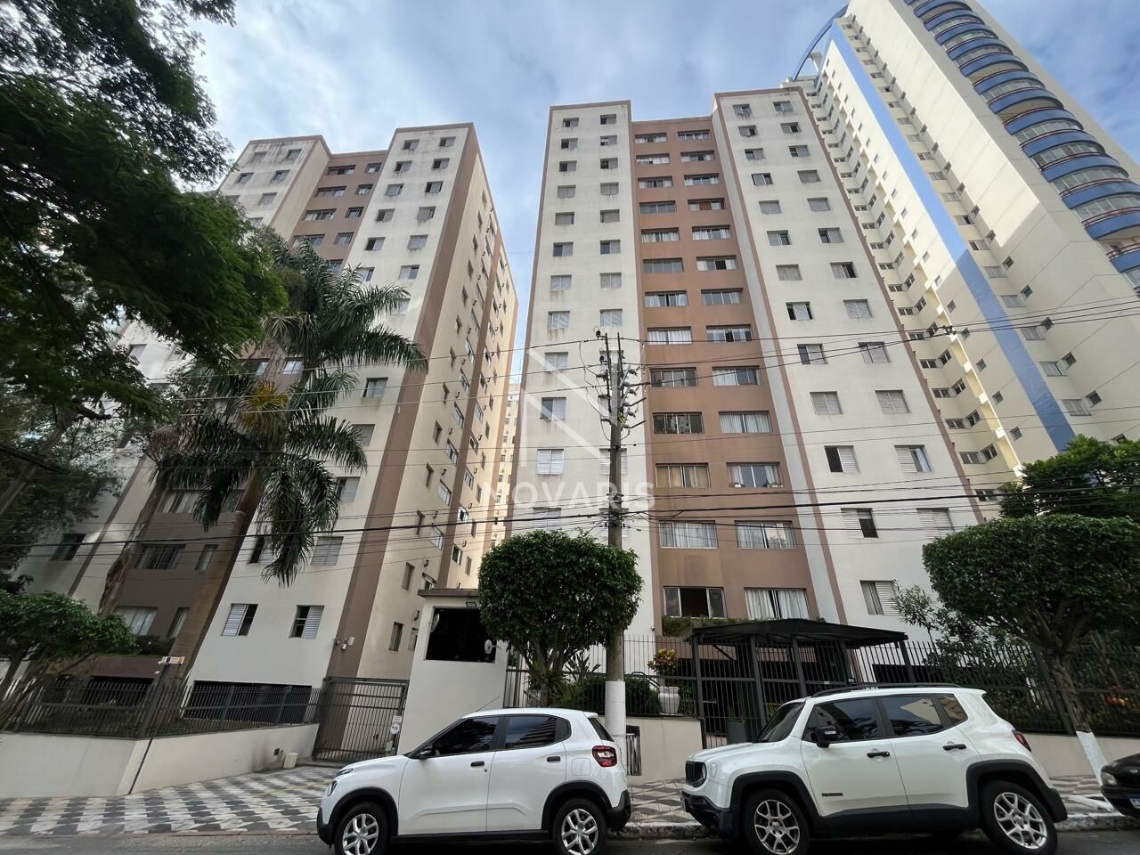 Apartamento para Locação - VILA MASCOTE