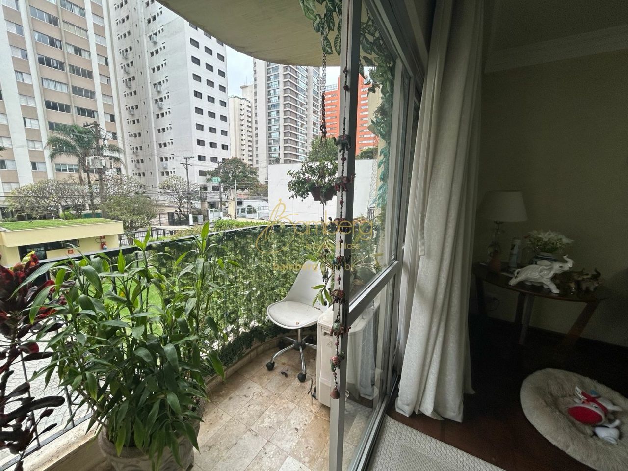 Moema / São Paulo