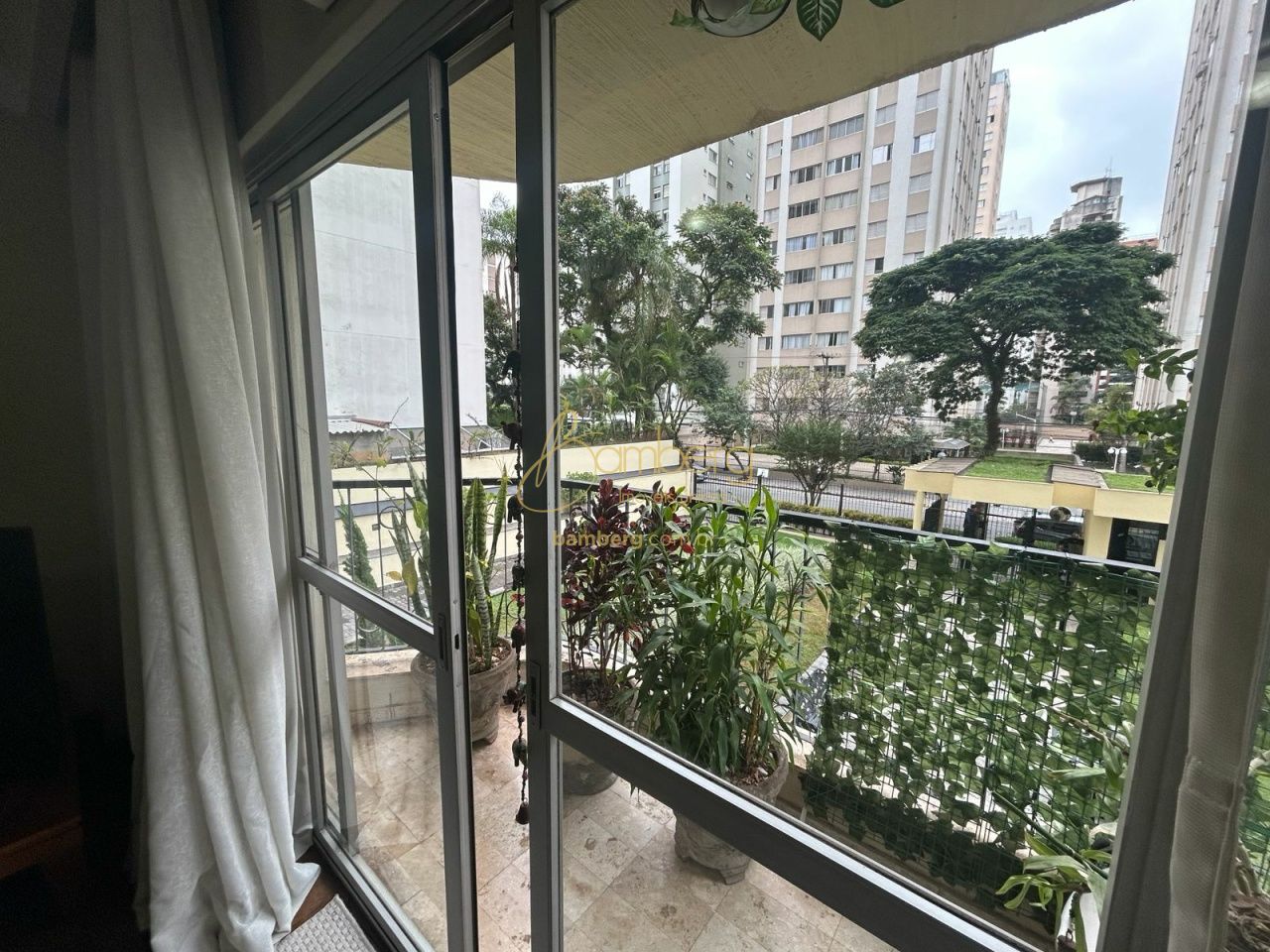 Moema / São Paulo