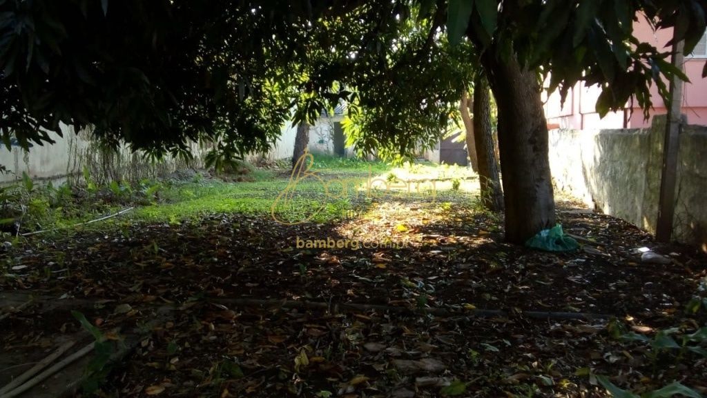 Campo Belo / São Paulo