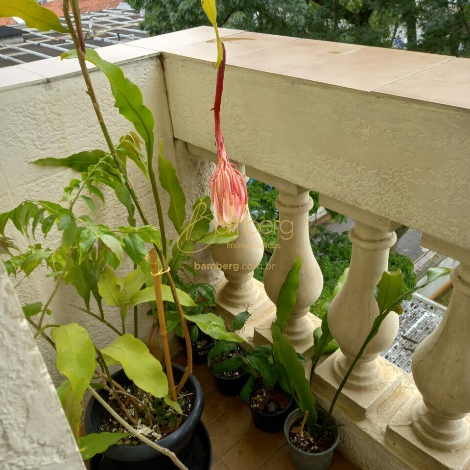 Alto da Boa Vista / São Paulo