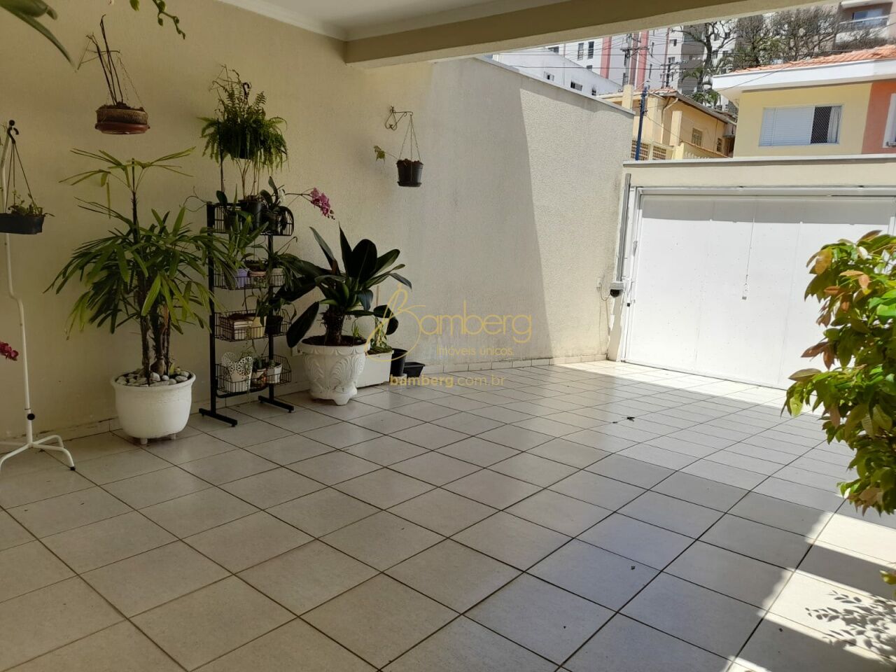 Campo Grande / São Paulo