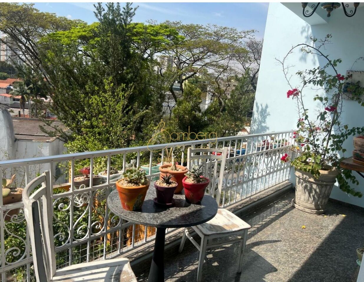 Casa no bairro Chácara Monte Alegre - São Paulo