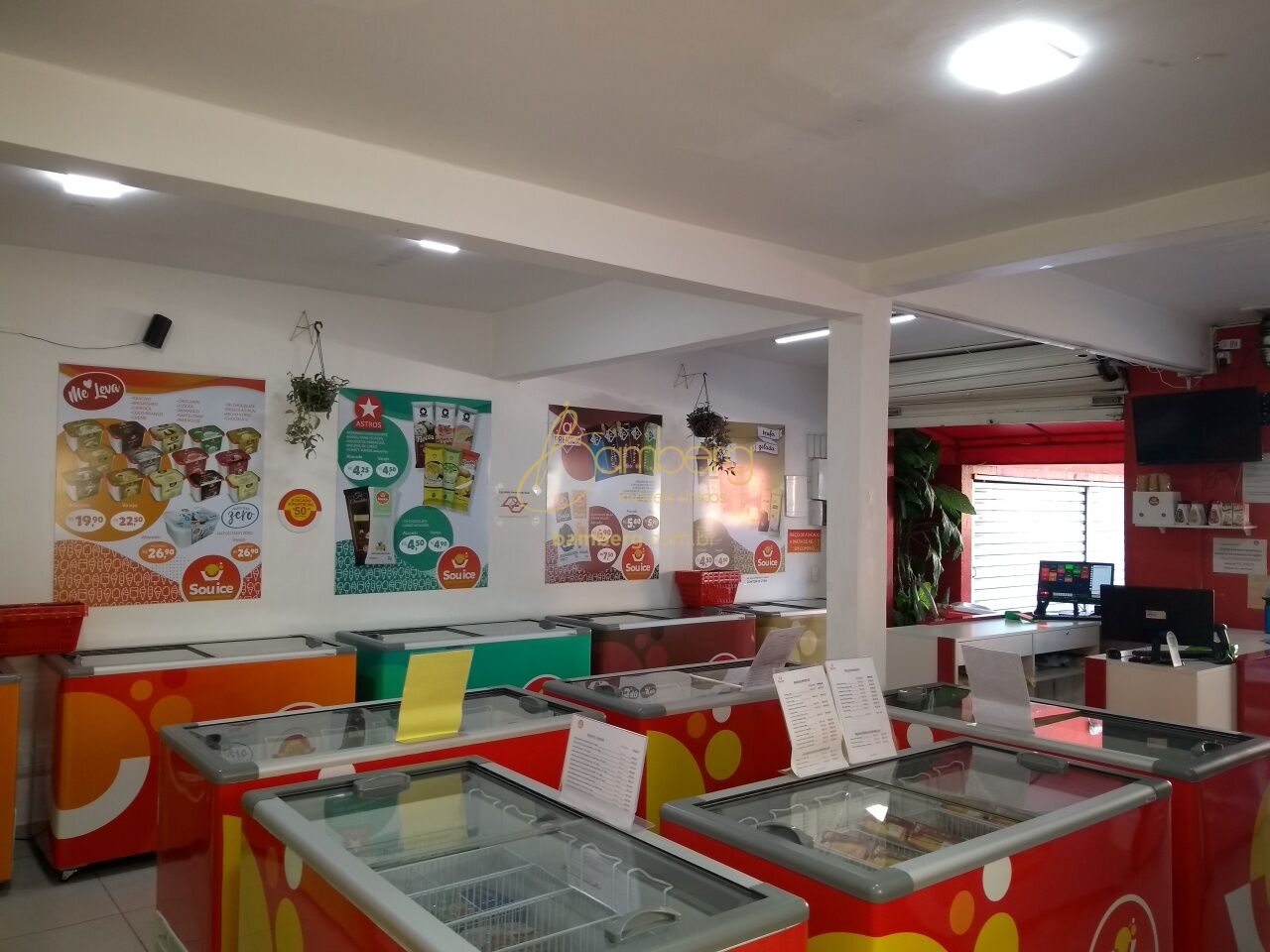 Vila Mascote / São Paulo