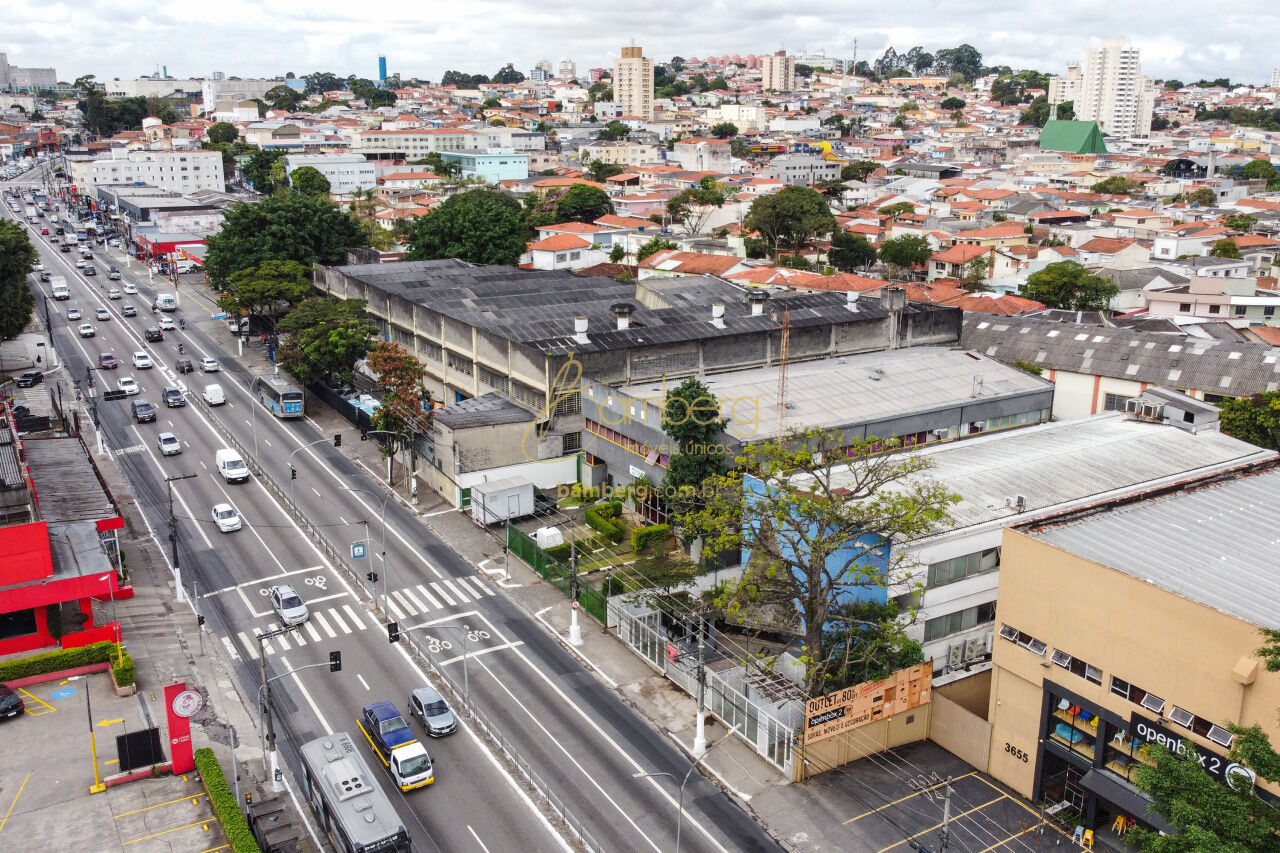 Interlagos / São Paulo