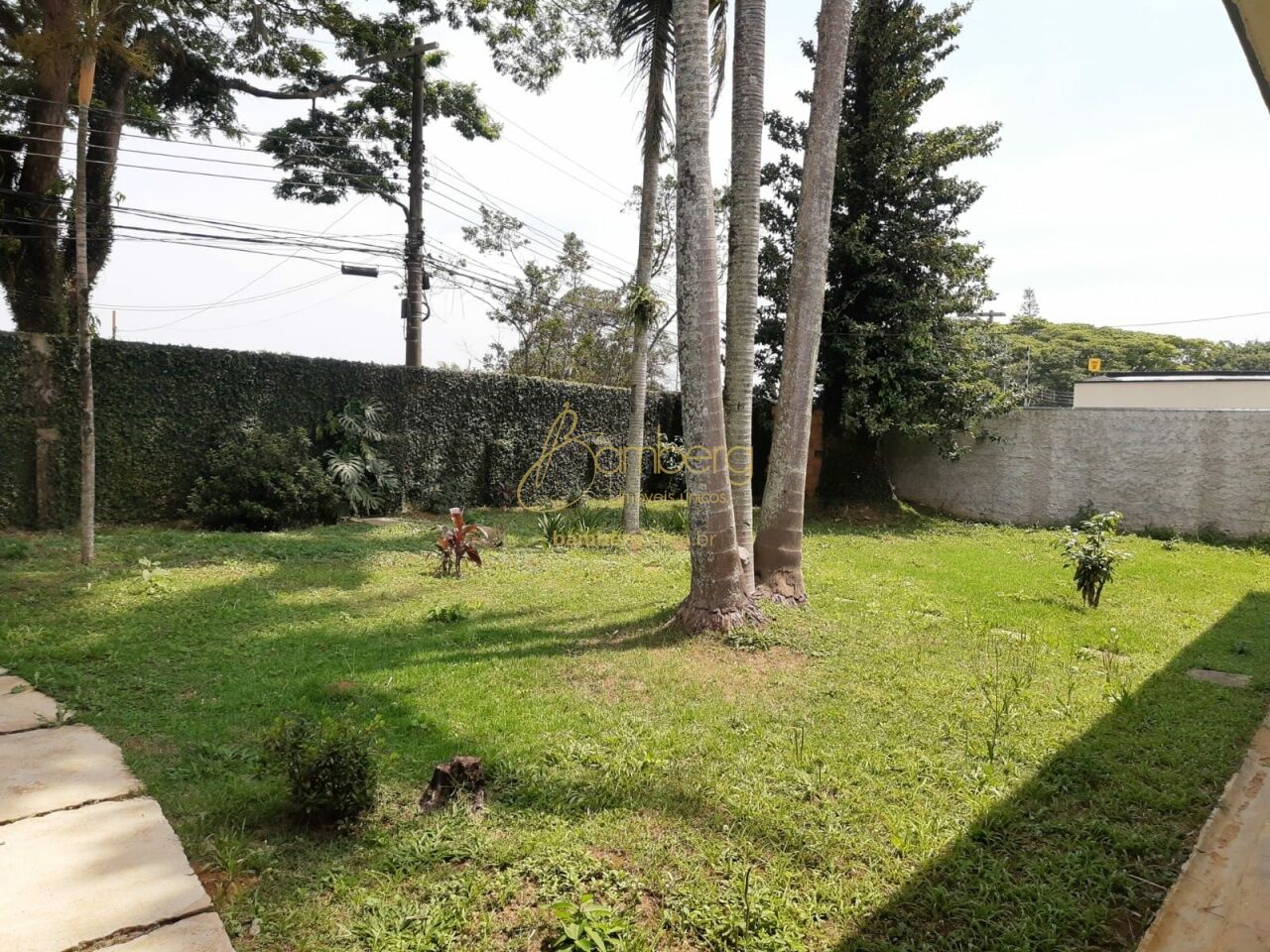 Interlagos / São Paulo