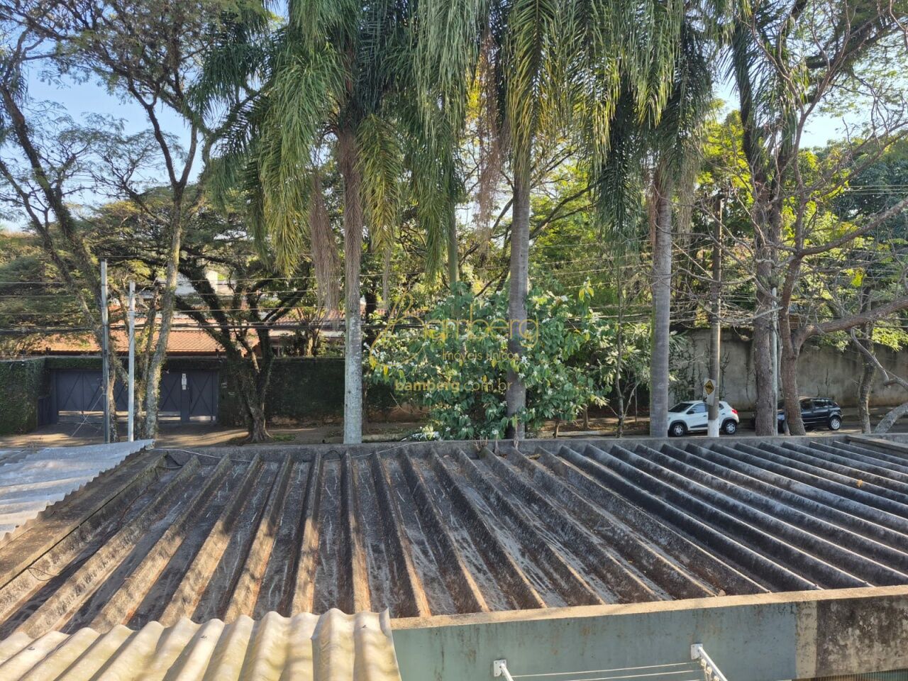 Jardim Petrópolis / São Paulo