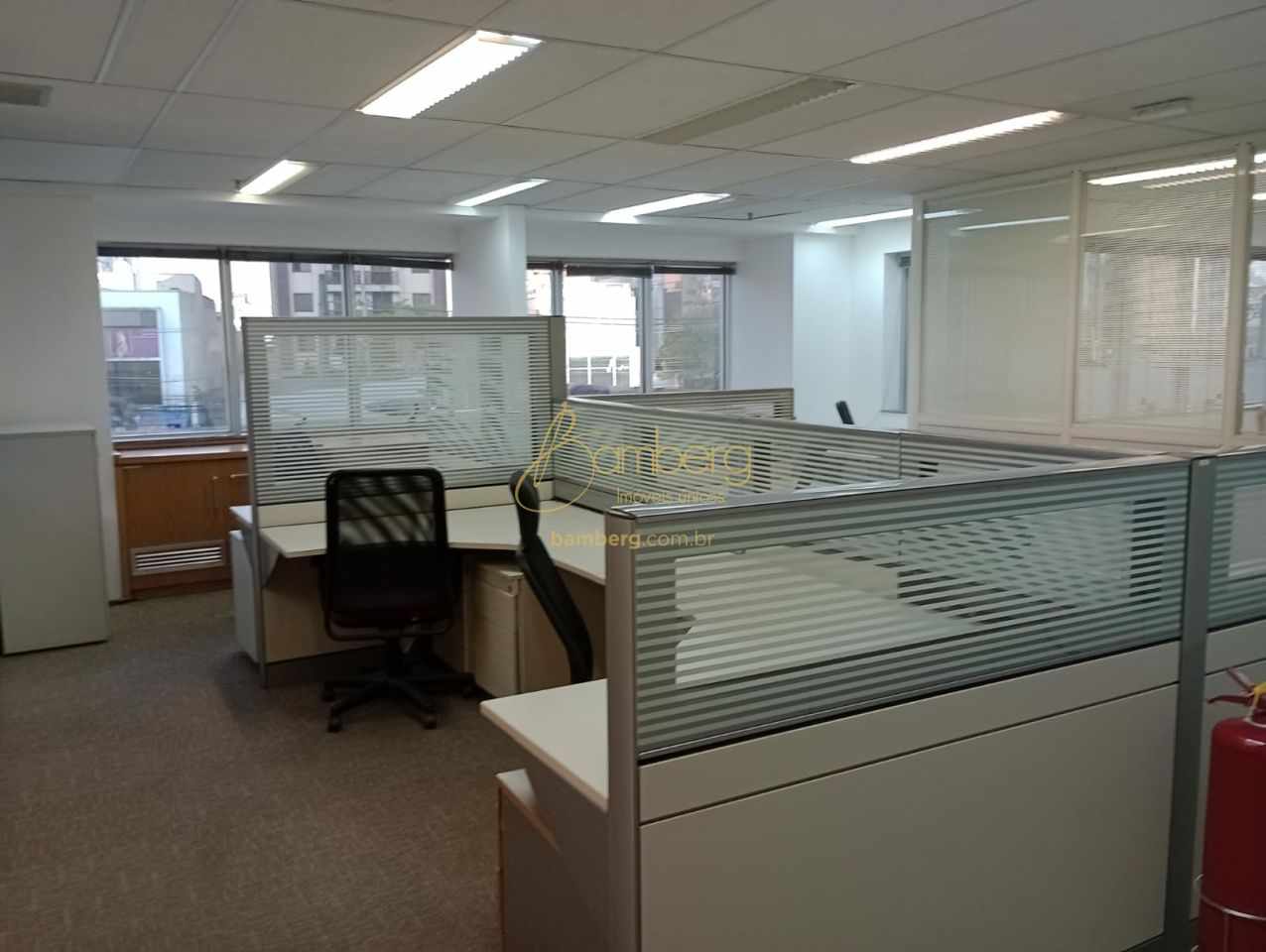 Paraíso / São Paulo