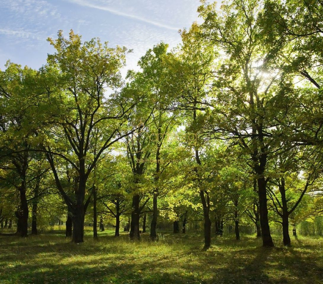 Chácara Monte Alegre / São Paulo