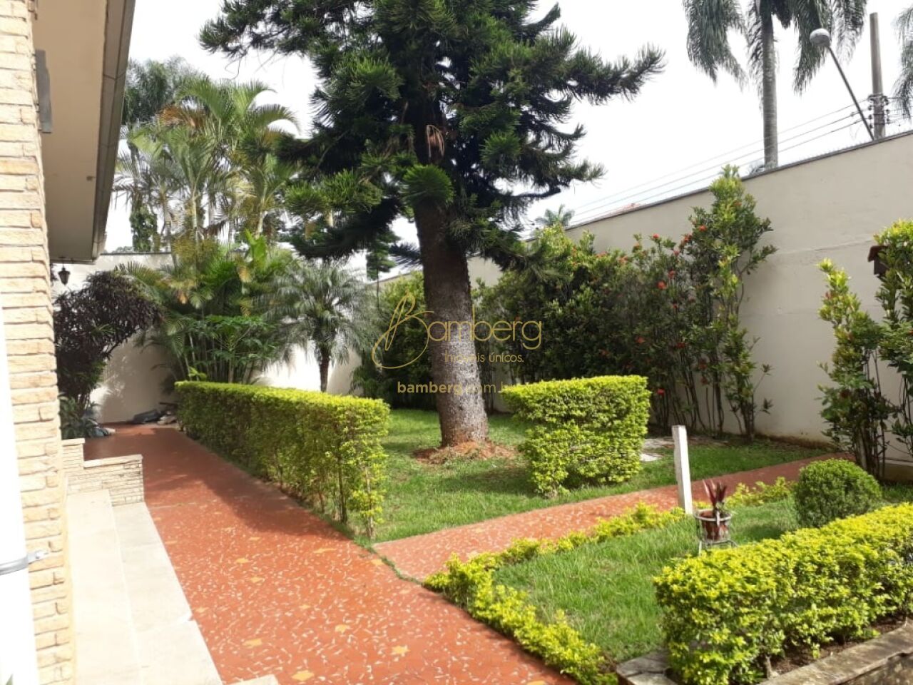 Chácara Monte Alegre / São Paulo