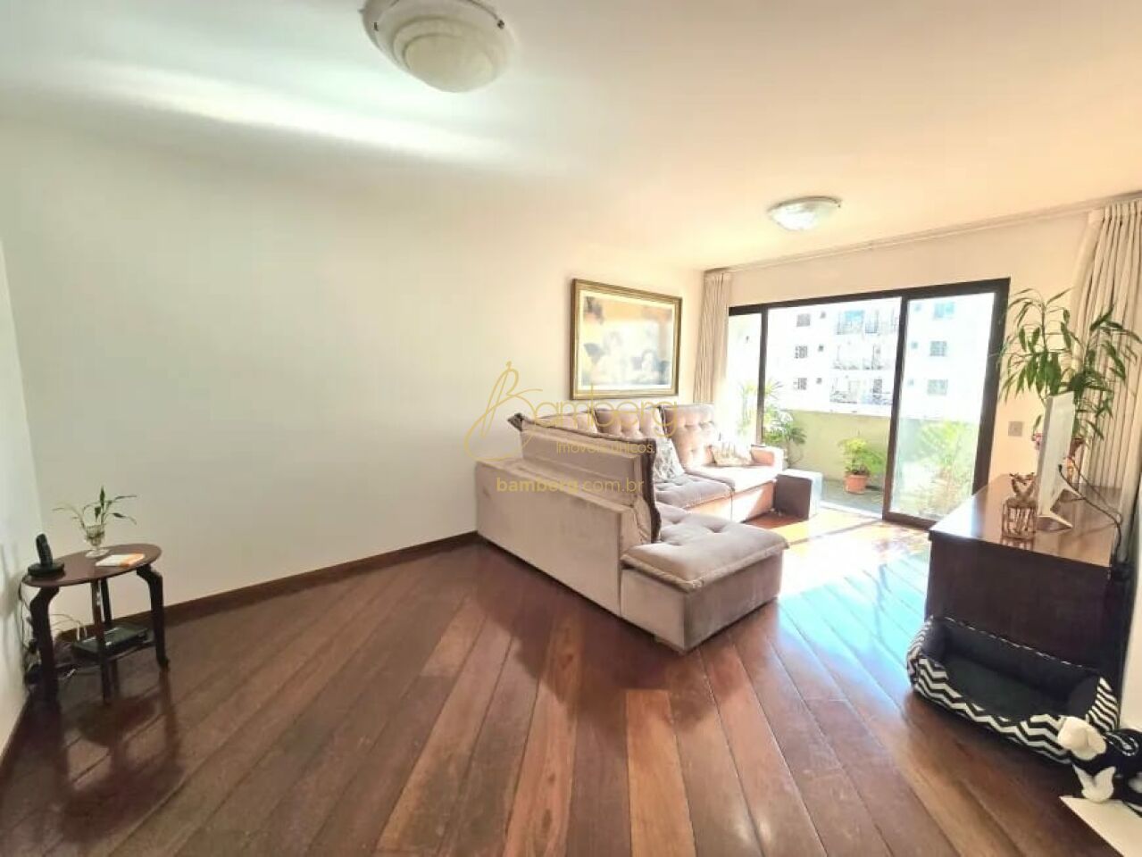 Campo Belo / São Paulo