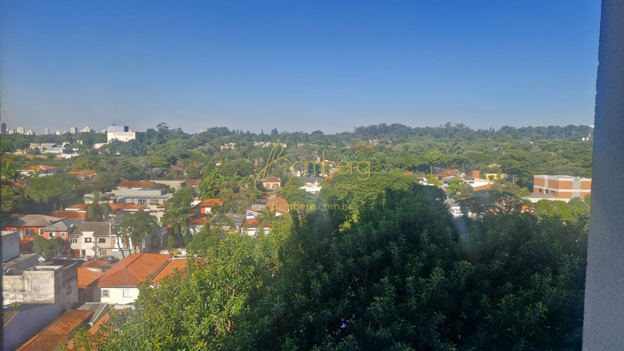 Alto da Boa Vista / São Paulo