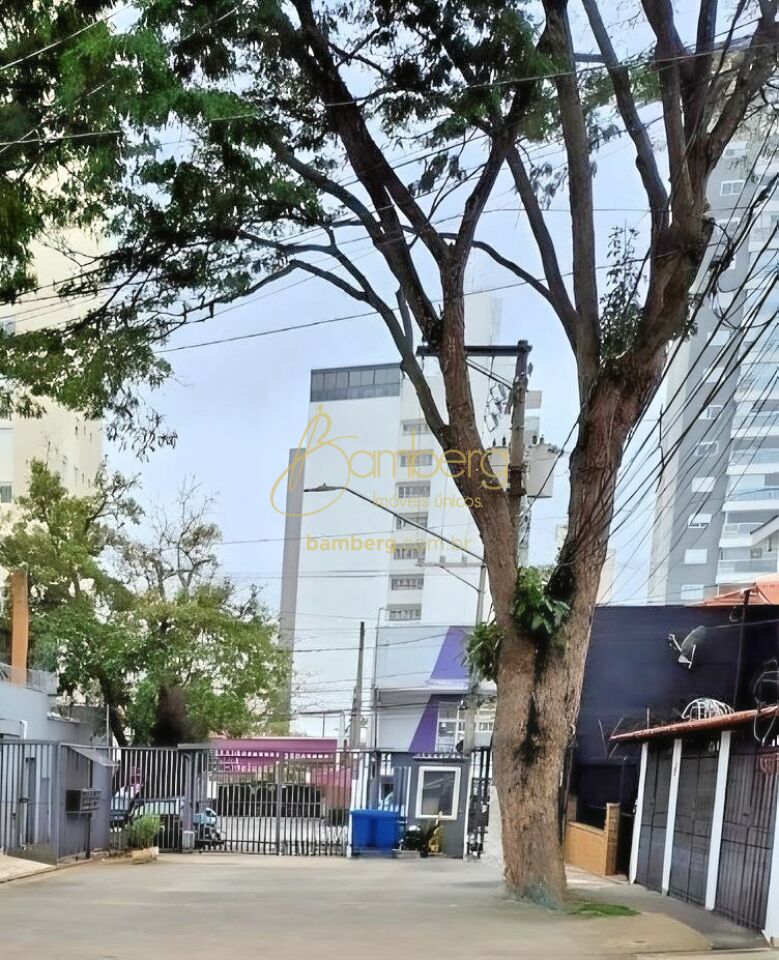 Campo Belo / São Paulo