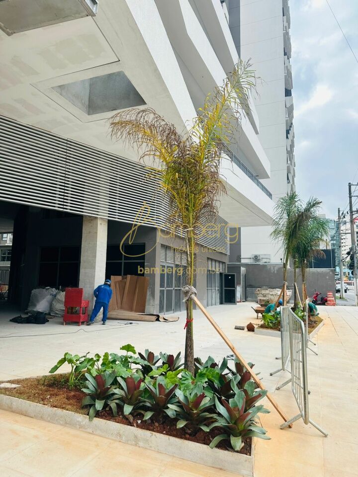 Vila Nova Conceição / São Paulo