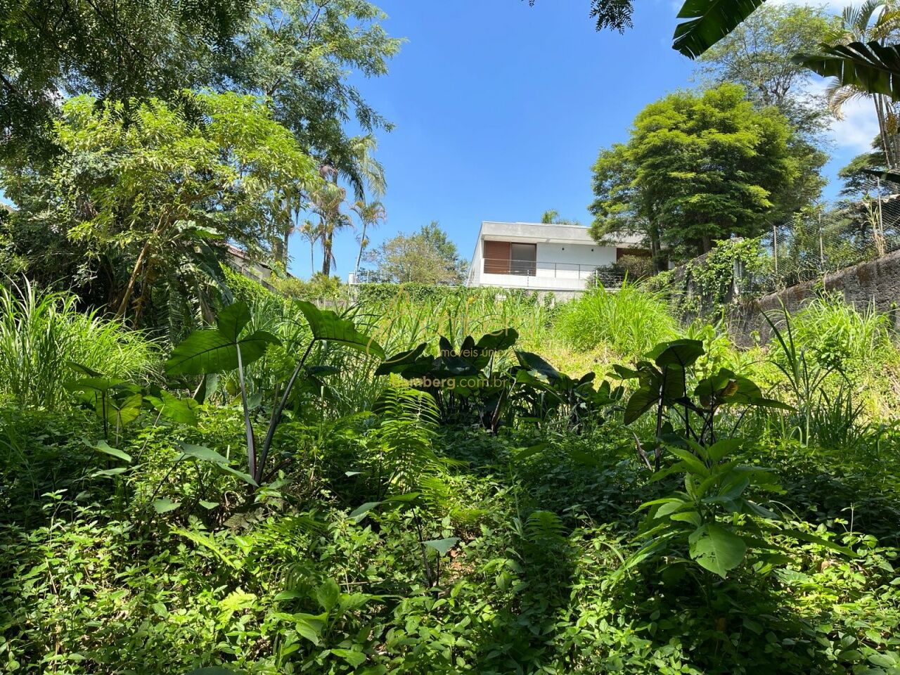 Morumbi / São Paulo