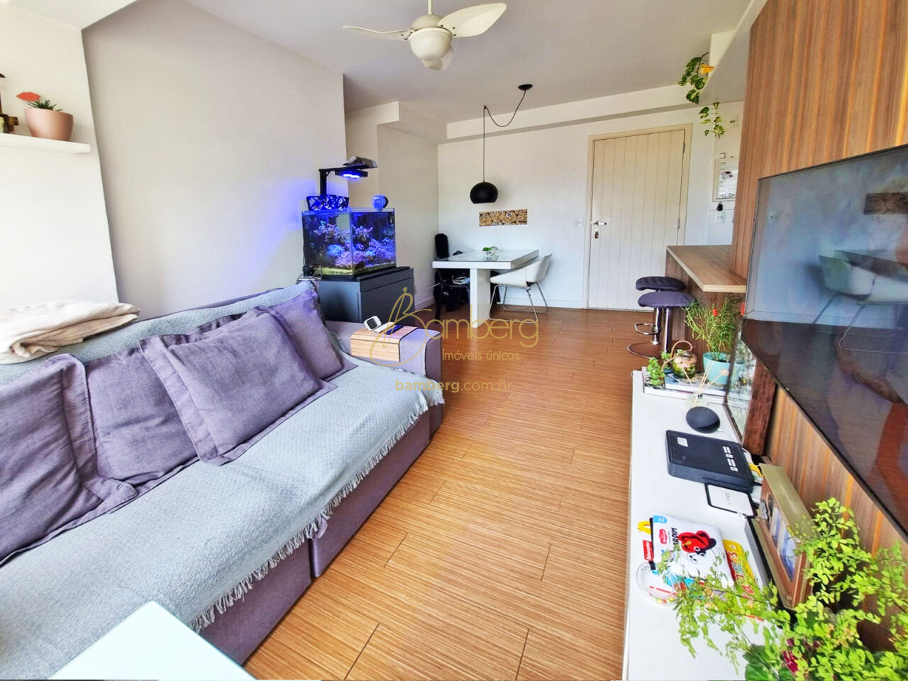 Chácara Santo Antônio  / São Paulo