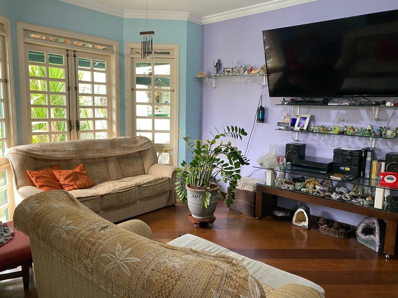 Bosque da Saúde / São Paulo