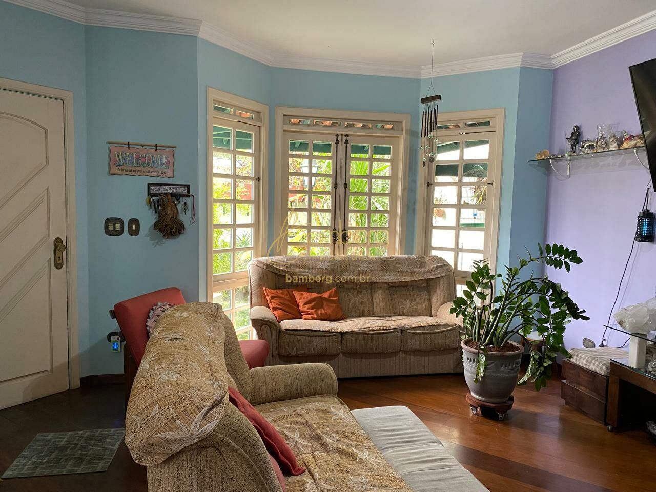 Bosque da Saúde / São Paulo