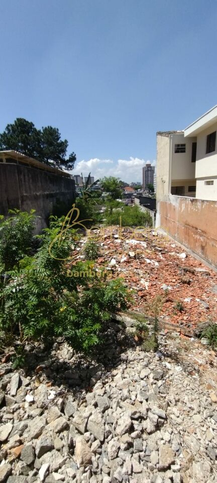 Vila Santa Catarina / São Paulo