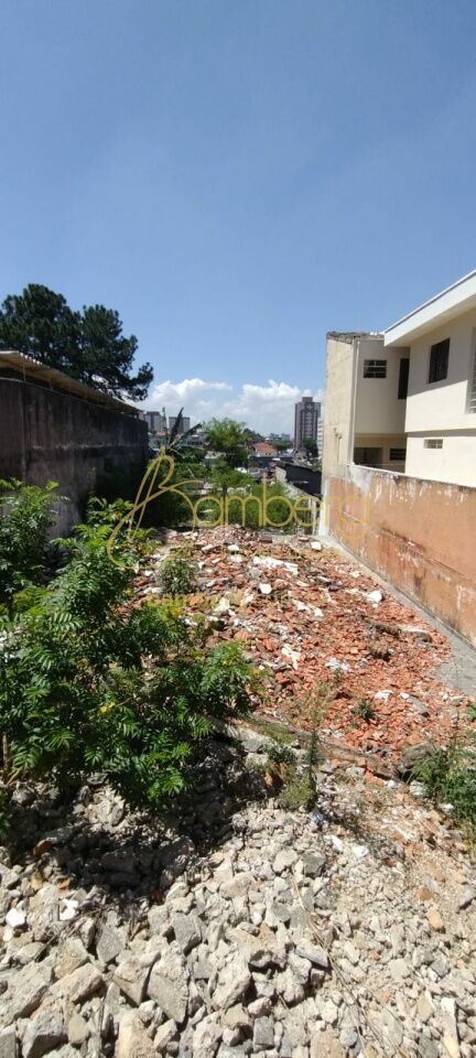 Vila Santa Catarina / São Paulo