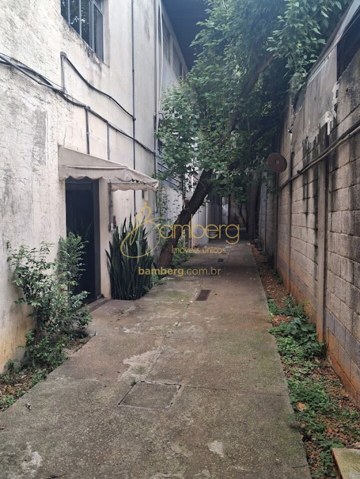 Bosque da Saúde / São Paulo