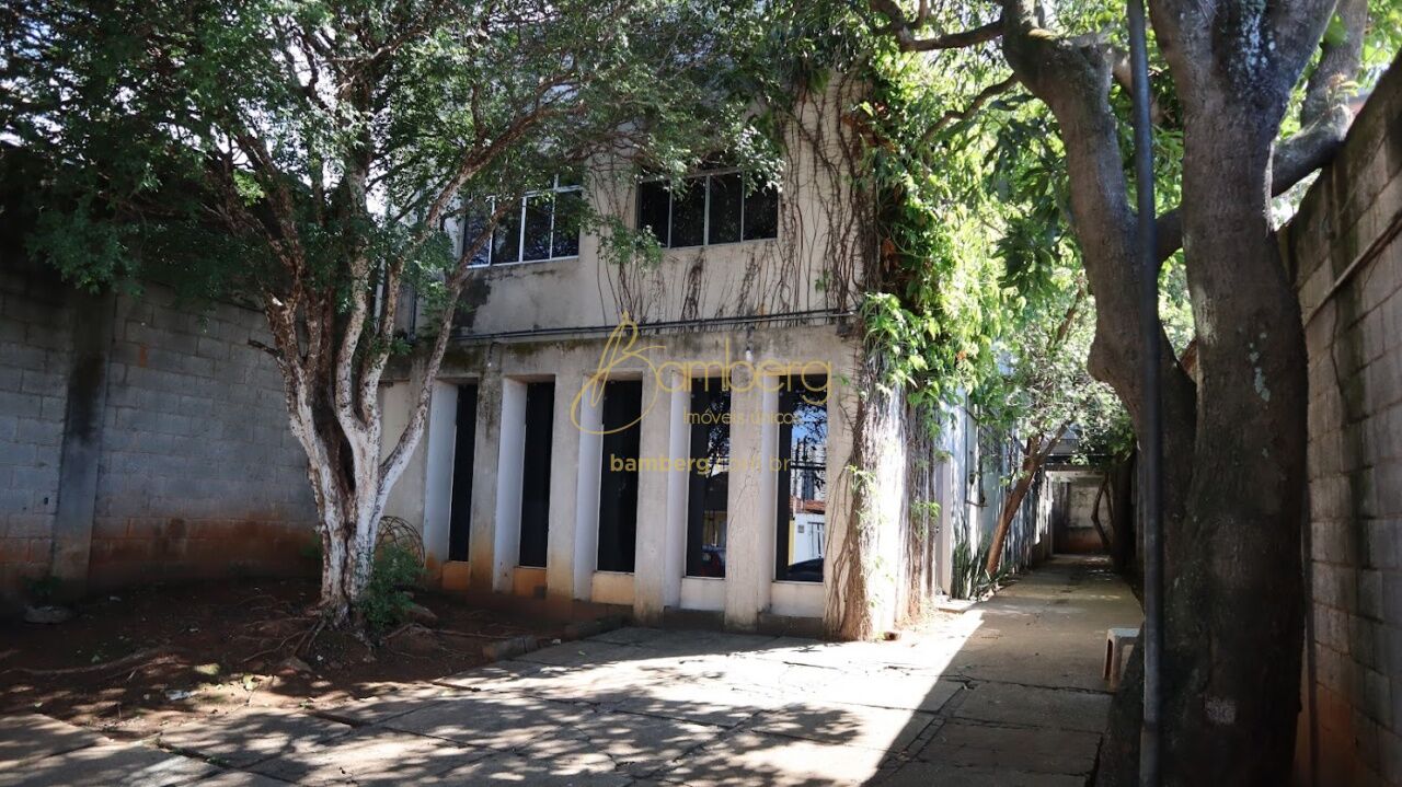 Bosque da Saúde / São Paulo