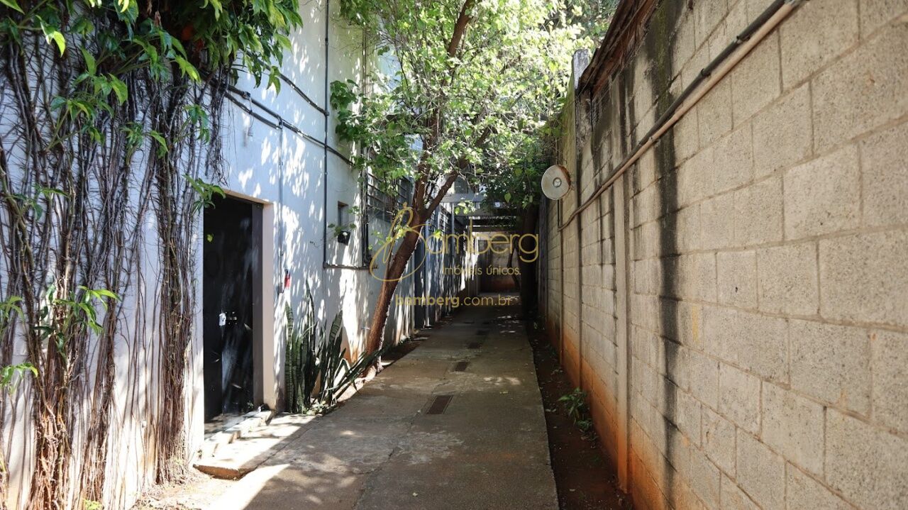 Bosque da Saúde / São Paulo