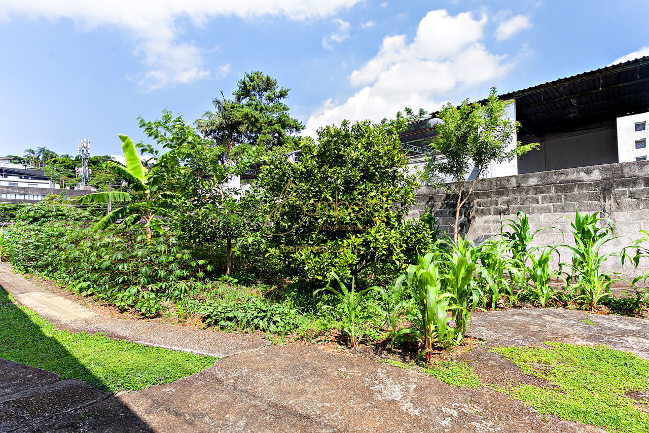 Jardim Petrópolis / São Paulo