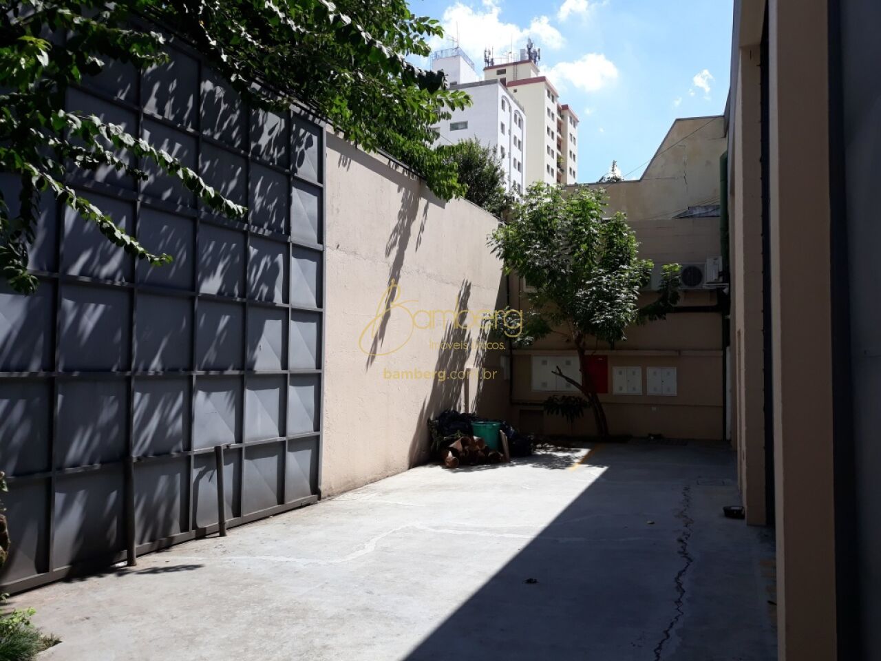 Cambuci / São Paulo