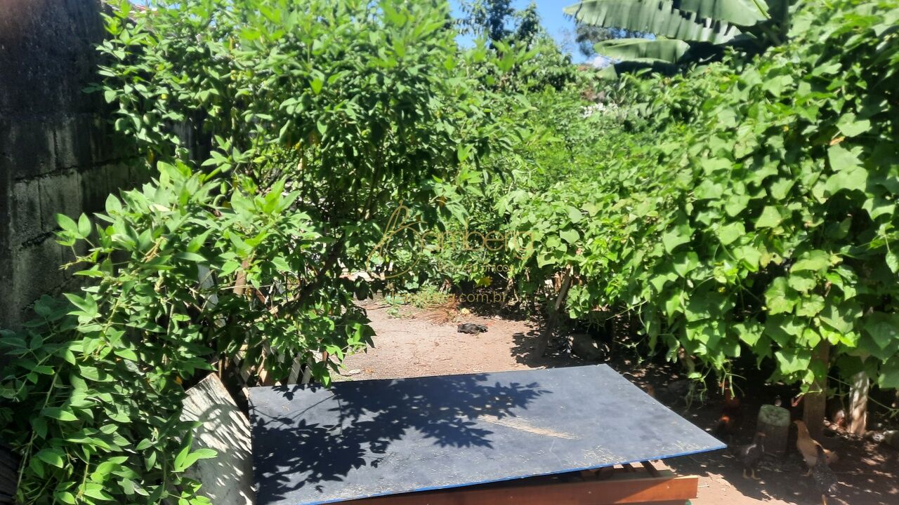 Interlagos / São Paulo