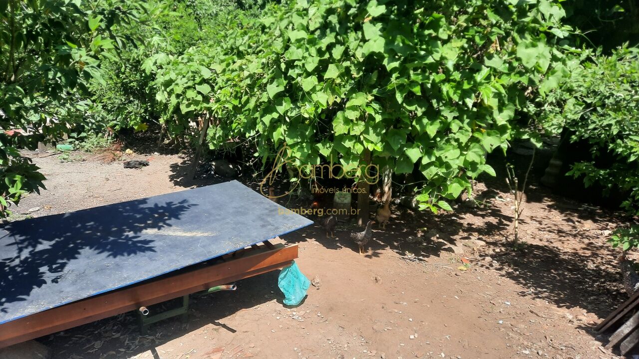 Interlagos / São Paulo