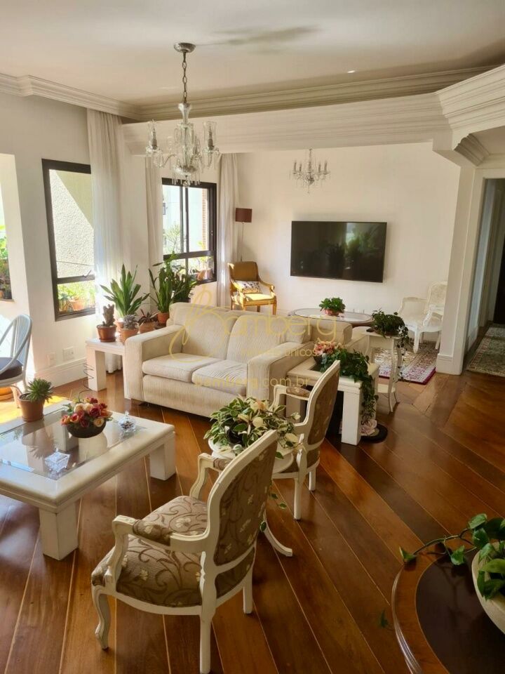 Vila Mascote / São Paulo