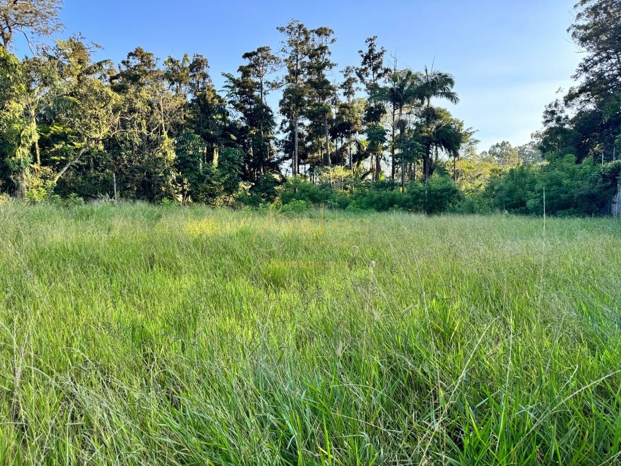 Terreno no bairro Chácara Flora - São Paulo
