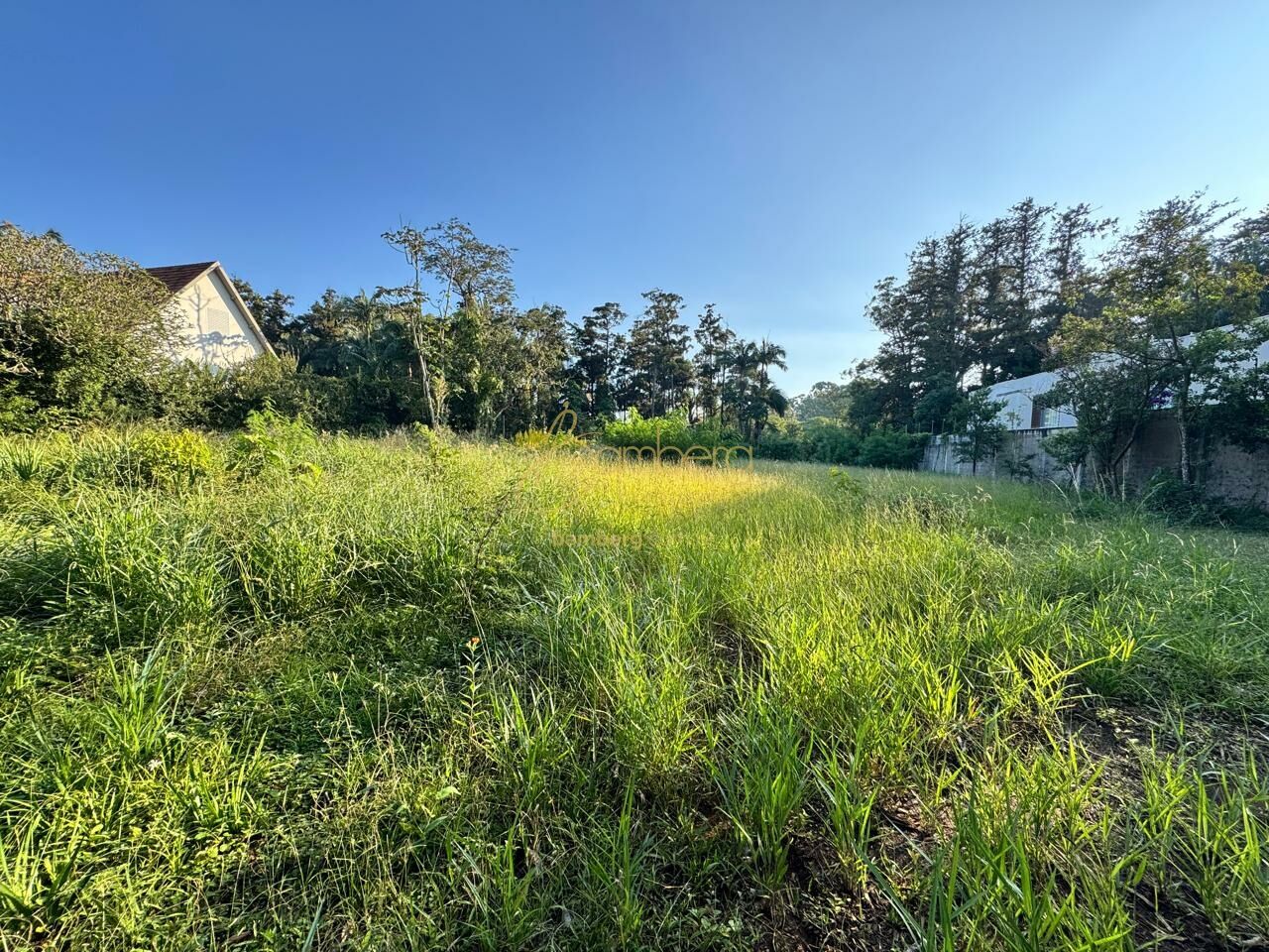 Chácara Flora / São Paulo