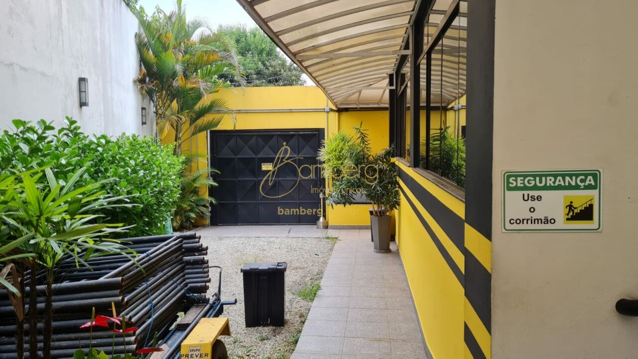 Interlagos / São Paulo