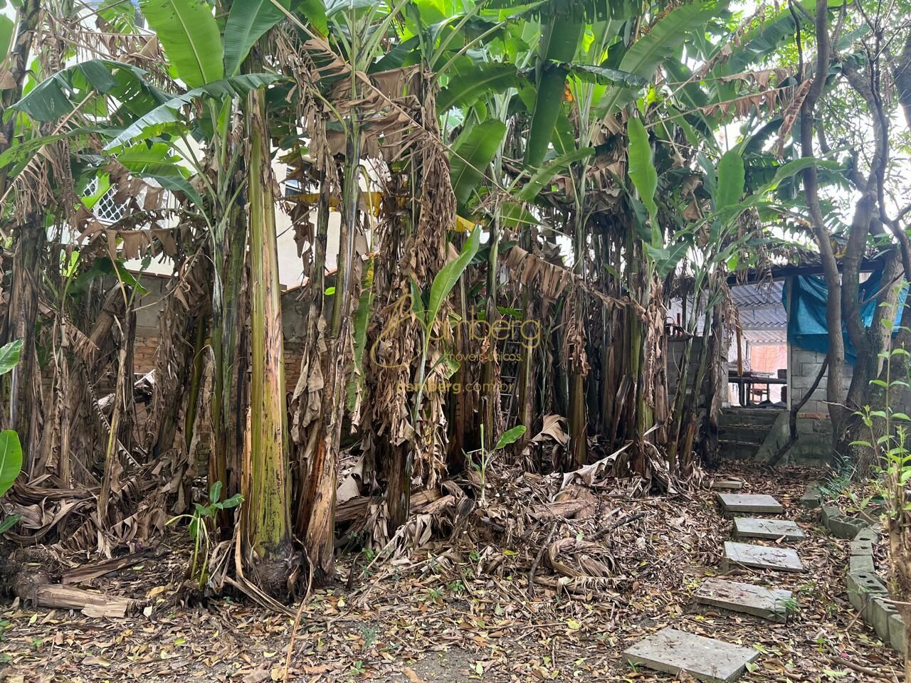 Terreno no bairro Santo Amaro - São Paulo