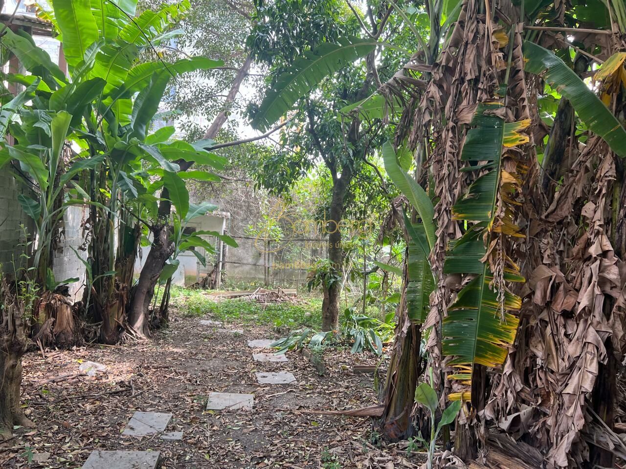 Santo Amaro / São Paulo