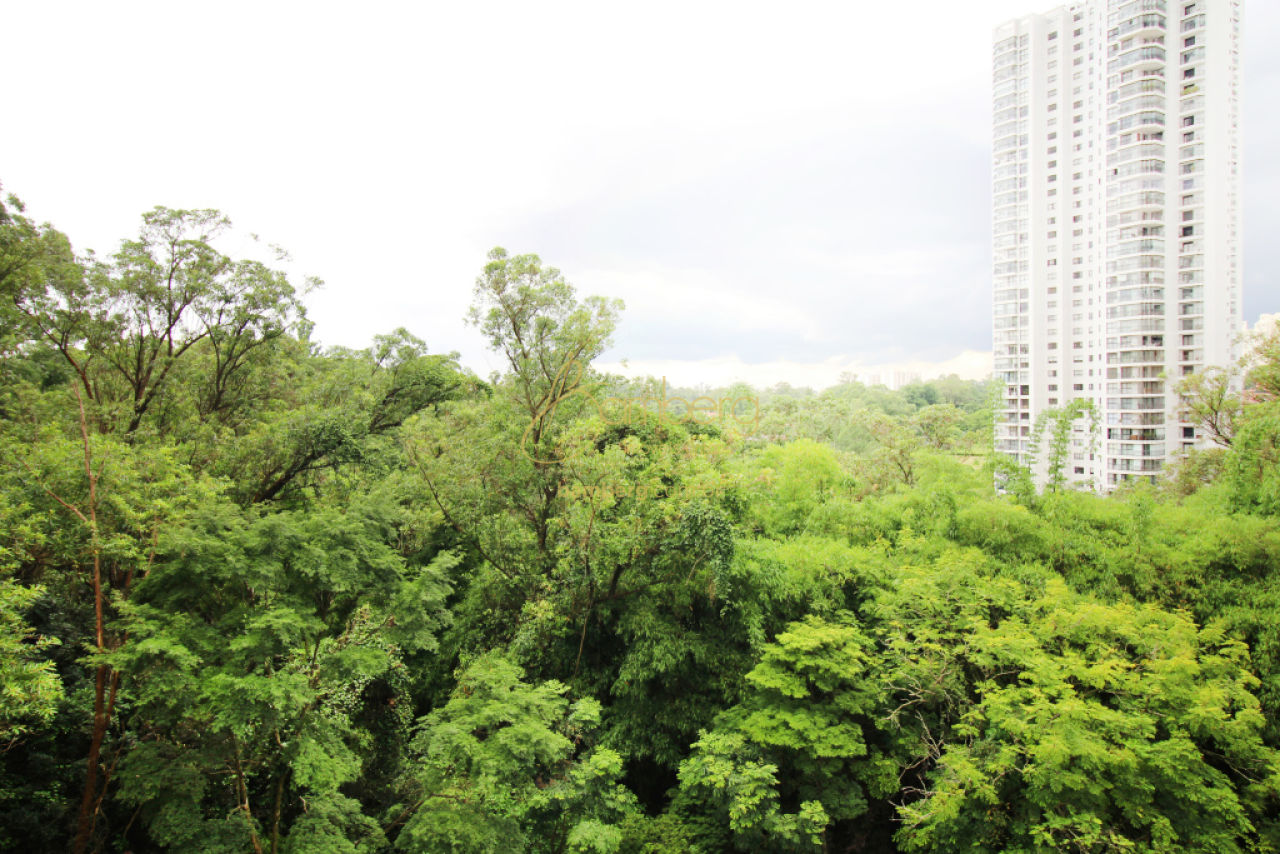 Jardim Marajoara / São Paulo